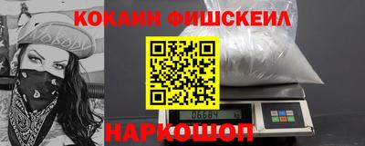 крисы Кингисепп