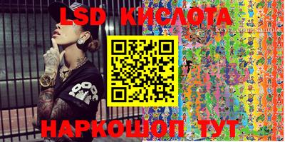 крисы Кингисепп
