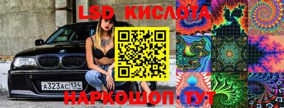 крисы Кингисепп