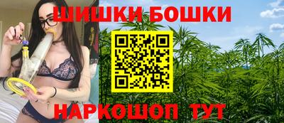 крисы Кингисепп