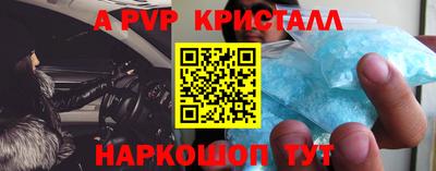 крисы Кингисепп