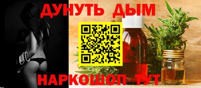 крисы Кингисепп