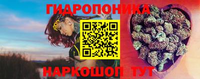 гашиш Кимры